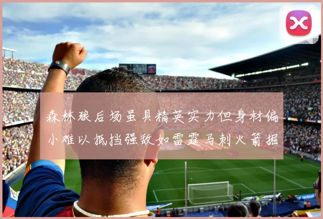 森林狼后场虽具精英实力但身材偏小难以抵挡强敌如雷霆马刺火箭掘金