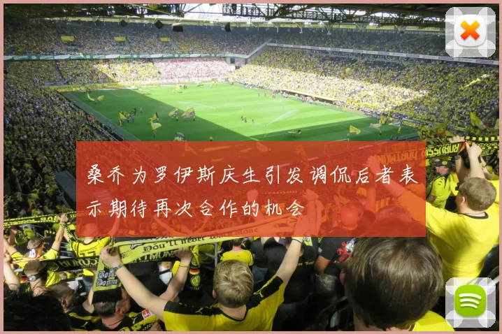 桑乔为罗伊斯庆生引发调侃后者表示期待再次合作的机会
