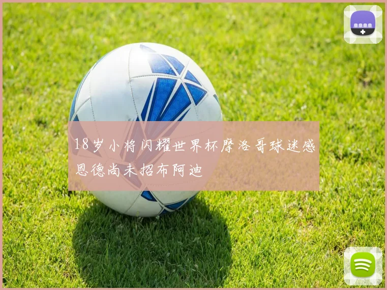 18岁小将闪耀世界杯摩洛哥球迷感恩德尚未招布阿迪